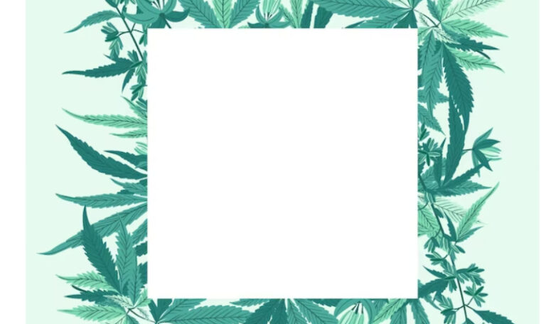 medical marijuana card 