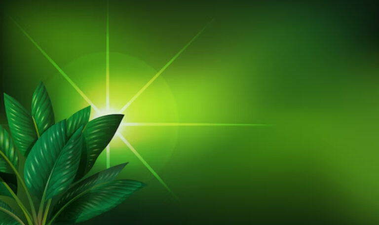 Medical Marijuana Card