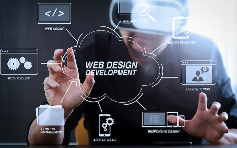 Web Designers in Tampa
