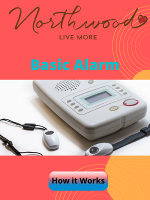basic alarm kit canada