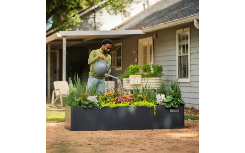 planter raised beds