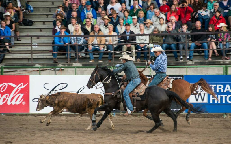 Things to Do in Jackson WY