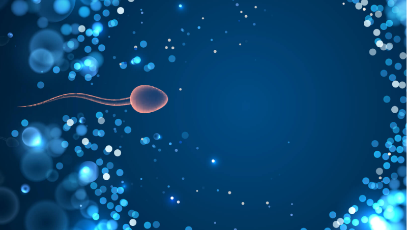 iui treatment san diego